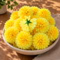 Yellow Dahalia Artificial Flower (7 cm, Pack of 15, Single Flower)