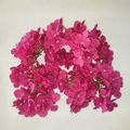 Decorative Artificial Wine Hydrangea Flower for Wedding & Festival Décor