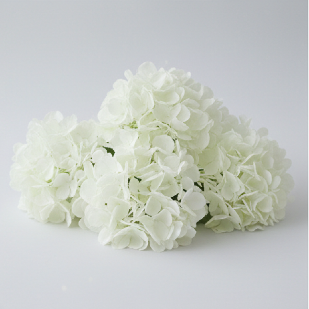 White Hydrangea Artificial Flower For Wedding & Festival Decor